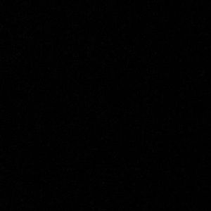 Meet your Posher, Daniella